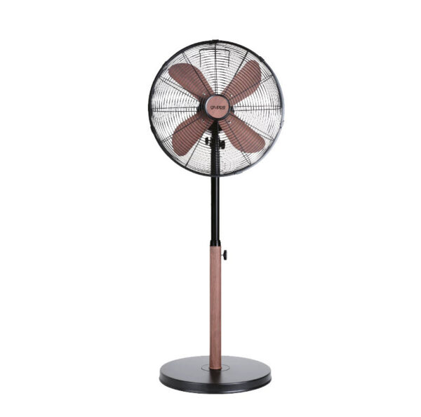 20240702151704_gruppe_fd_40mh_anemistiras_orthostatis_55w_black_wood